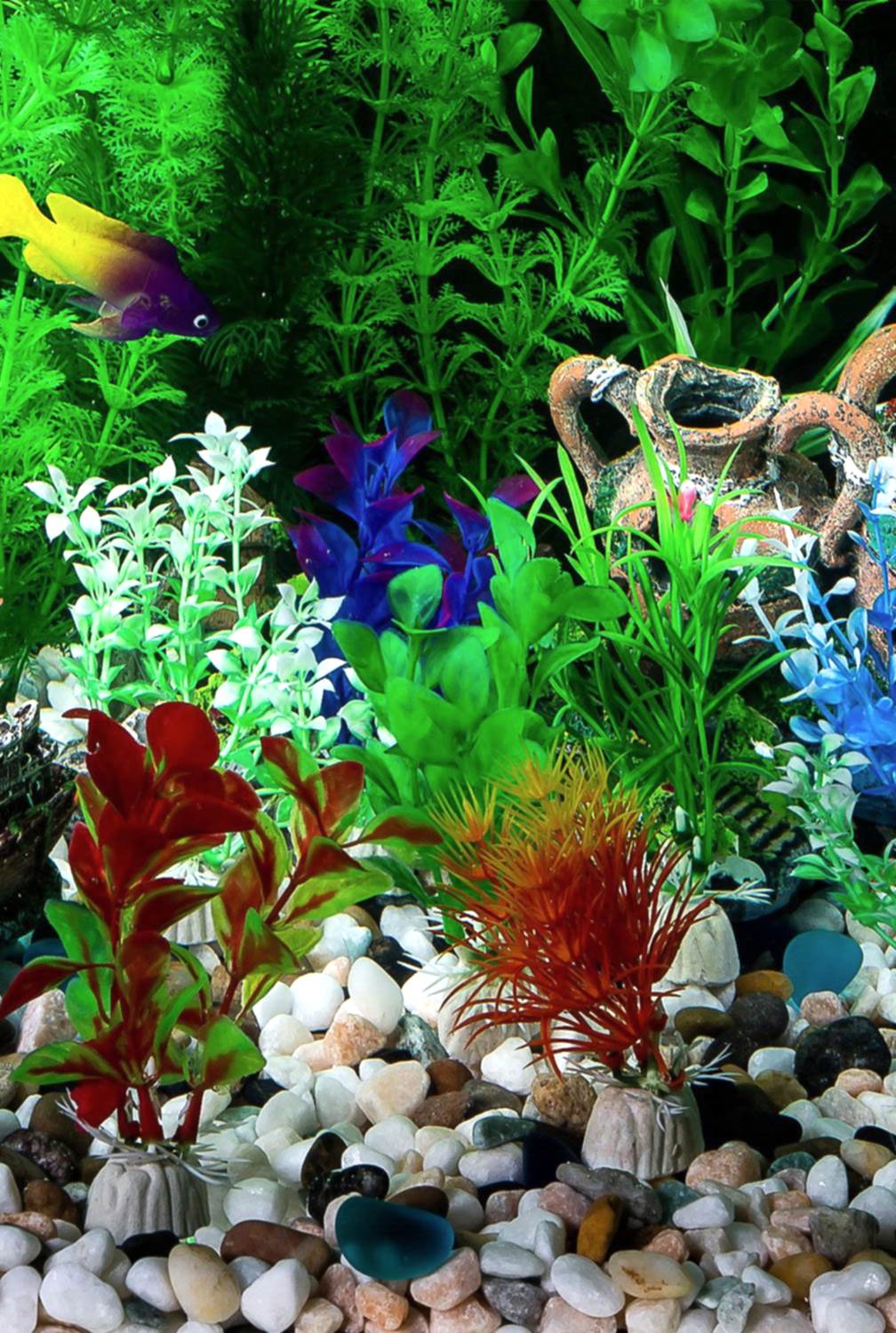 Akvaryum Ekipman ve Aksesuarları