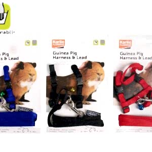 KARLIE GİNE PİG TASMA+UZATMA 120CM